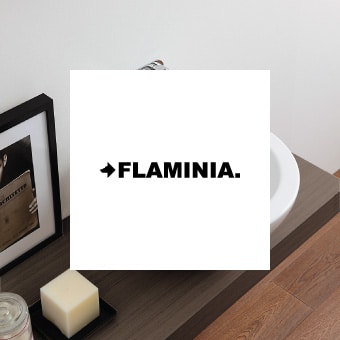 marca_flaminia_web